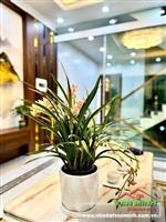 Bán nhà tuyến 2 Tô Hiệu có thang máy, Lê Chân, Hải Phòng