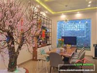 Bán căn biệt thự sân vườn tại số 61 Đồng Lập, Đồng Hòa, Kiến An, Hải Phòng