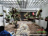 Bán nhà mặt Đường Phủ Thượng Đoạn, Hải An, Hải Phòng