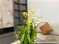 BÁN NHÀ PHỐ VĨNH CÁT - THIÊN LÔI - VĨNH NIỆM