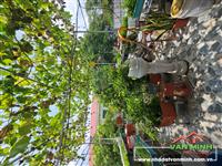 Bán nhà mặt đường Hạ Đoạn 2, Hải An, Hải Phòng