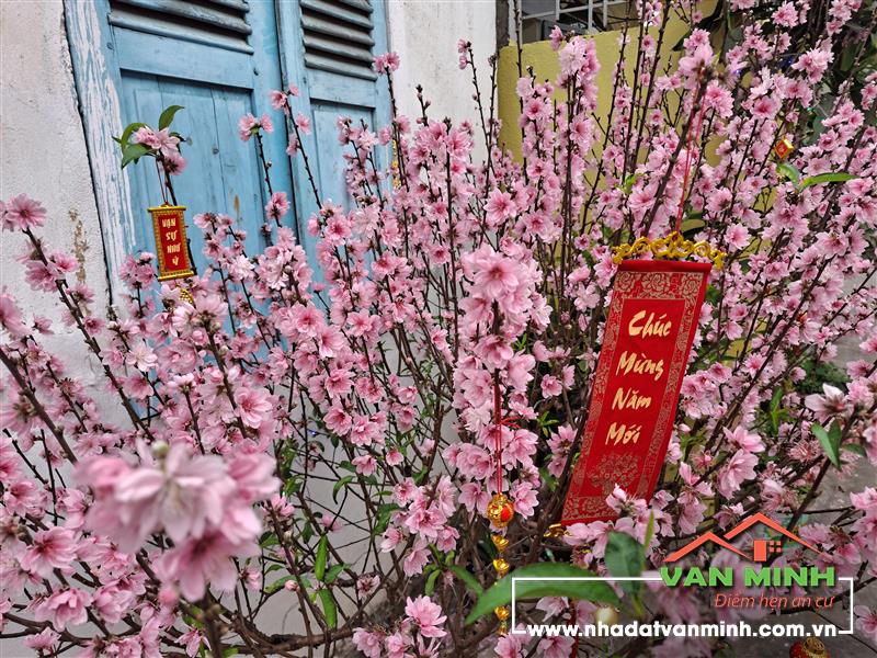 - Lô Đất 378m² mặt đường Hồ Sen  Hải Phòng.  - Mặt tiền rộng 10m. Nở hậu.  - Xây dựng cao tầng làm văn phòng ......  - Sổ đỏ.