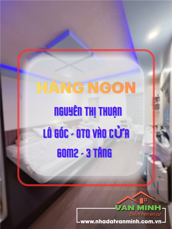 Bán nhà lô góc phố Nguyễn Thị Thuận, Cát Bi, Hải Phòng